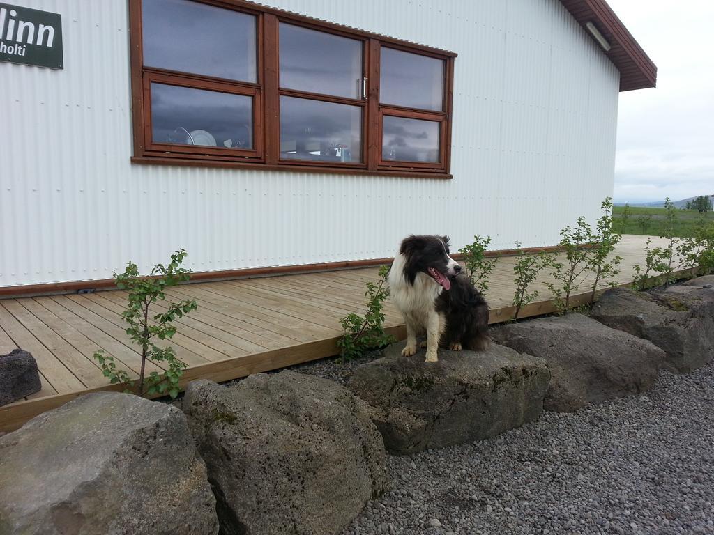 Skalinn Between Gullfoss And Geysir - Myrkholt Farm Haukadalur Exterior foto